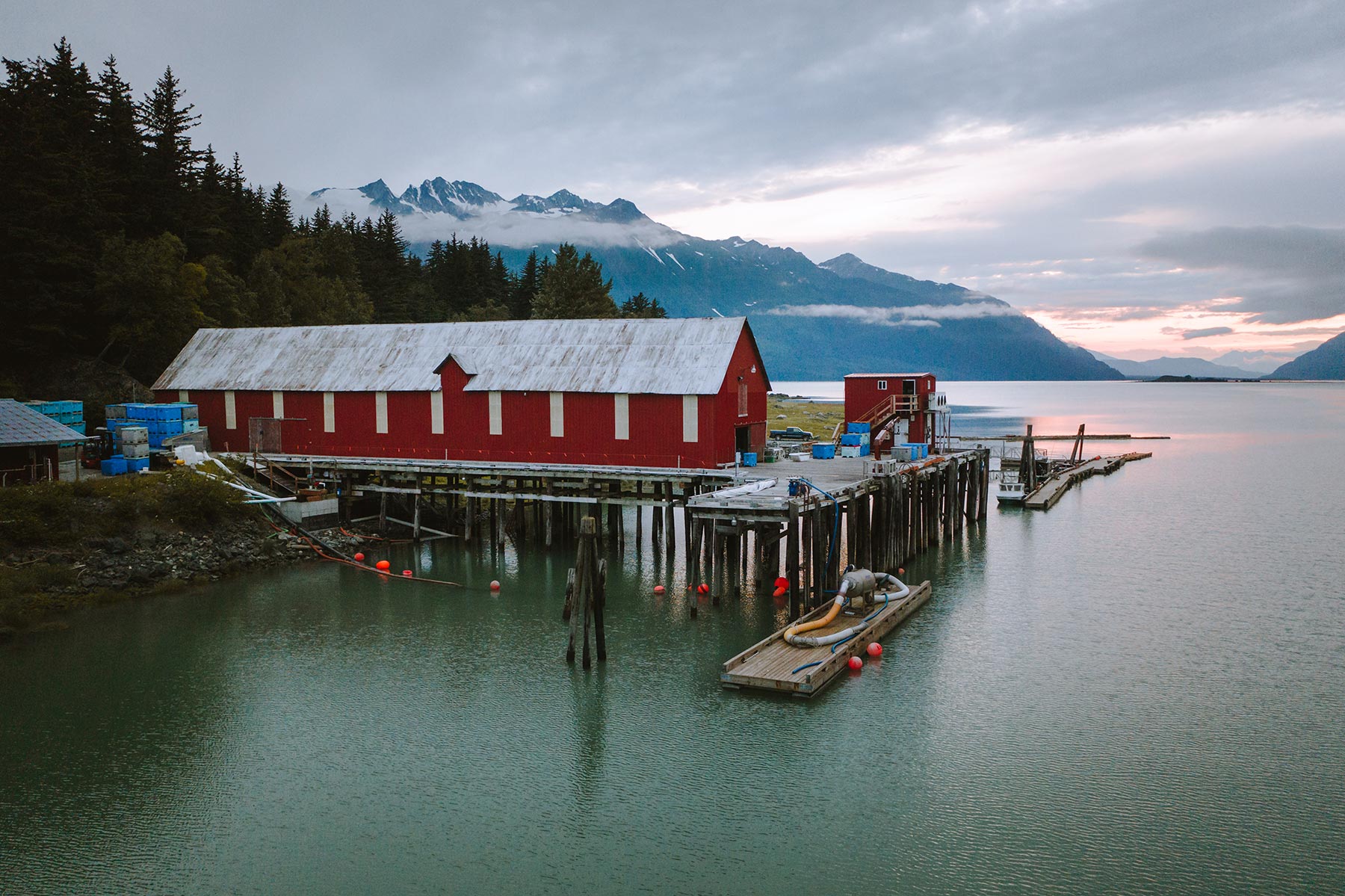 haines and bonner of london ties